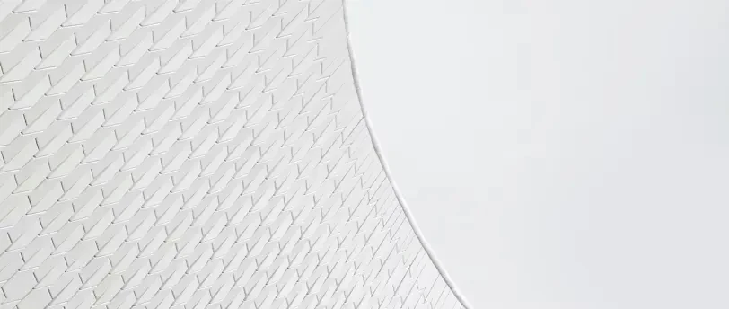 Image article
